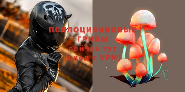 не бодяженный Няндома