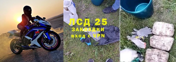 шишки Арсеньев
