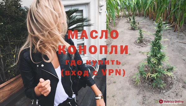 шишки Арсеньев