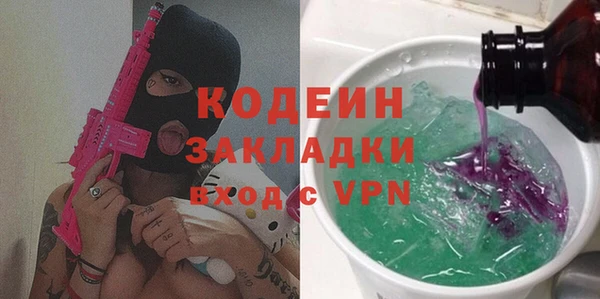 шишки Арсеньев