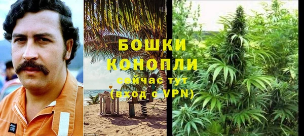 шишки Арсеньев