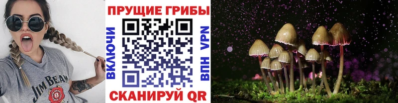 Псилоцибиновые грибы прущие грибы  купить   гидра ТОР  Соликамск 