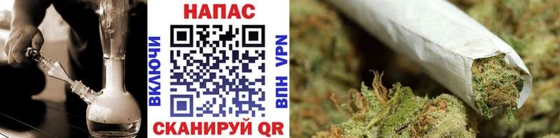 где купить   Соликамск  Шишки марихуана план 
